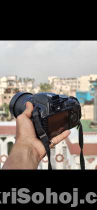 Nikon D3100 Emergency sell